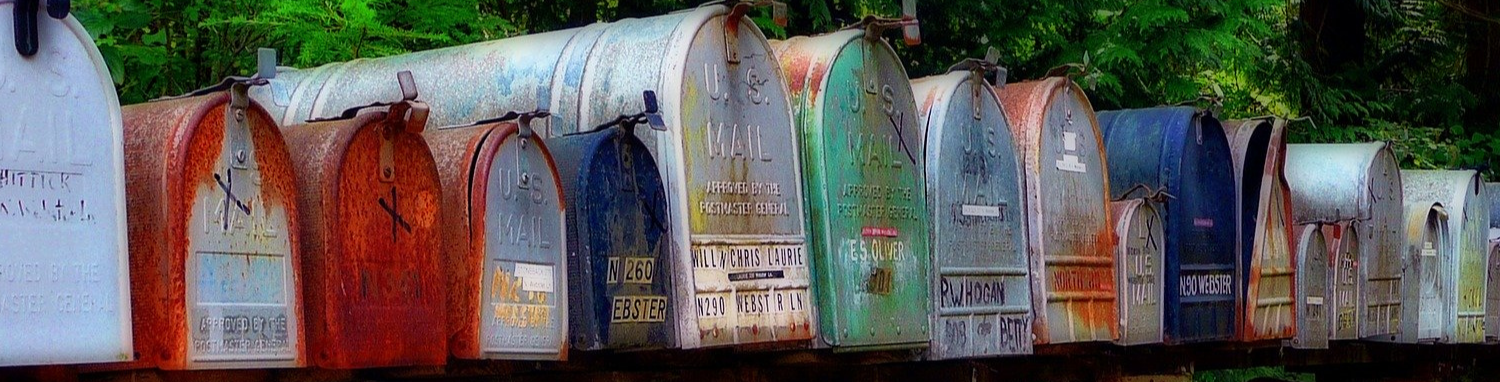 Email Newsletter Banner