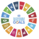 The Seventeen Principles of the Sustainable Development Goals in a circle around the words Sustainable Development Goals