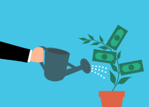 Using a watering can on a potted plant with dollars for leaves