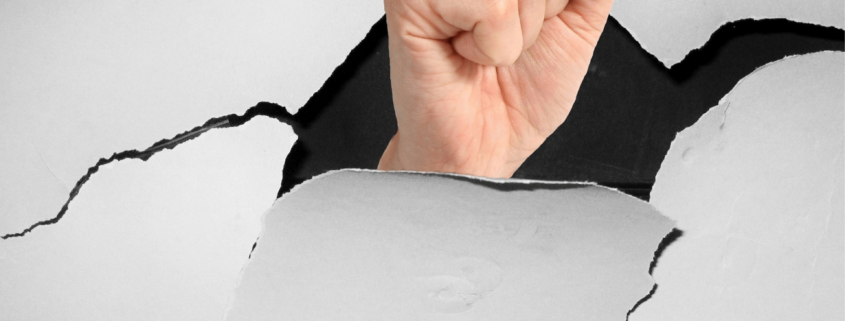 Autonomy and Independence the Fourth Cooperative Principle